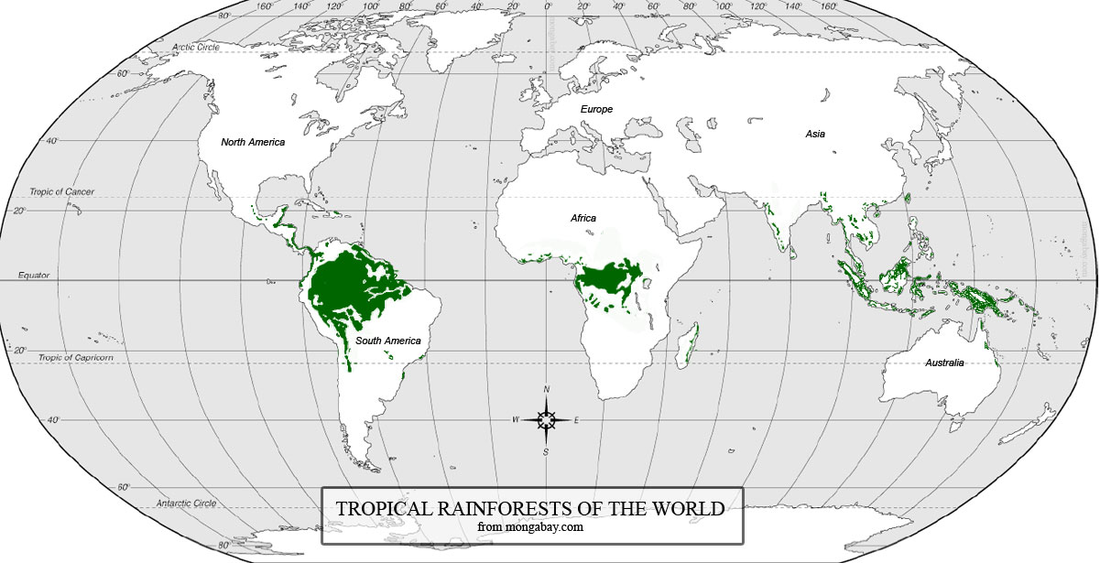 World Map Location Of Tropical Rainforest Rainforest Locations Map